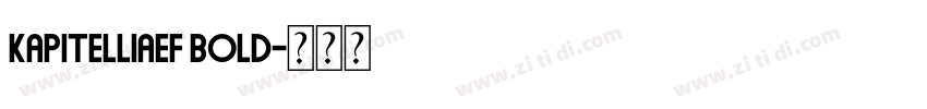 KapitelliaEF Bold字体转换 KapitelliaEF Bold字体转换